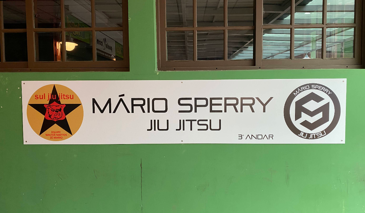 Academia Mário Sperry Jiu Jitsu Brasil