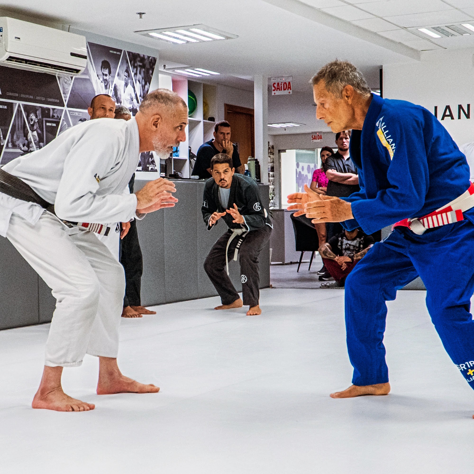 Alliance Campeche - Foto 1