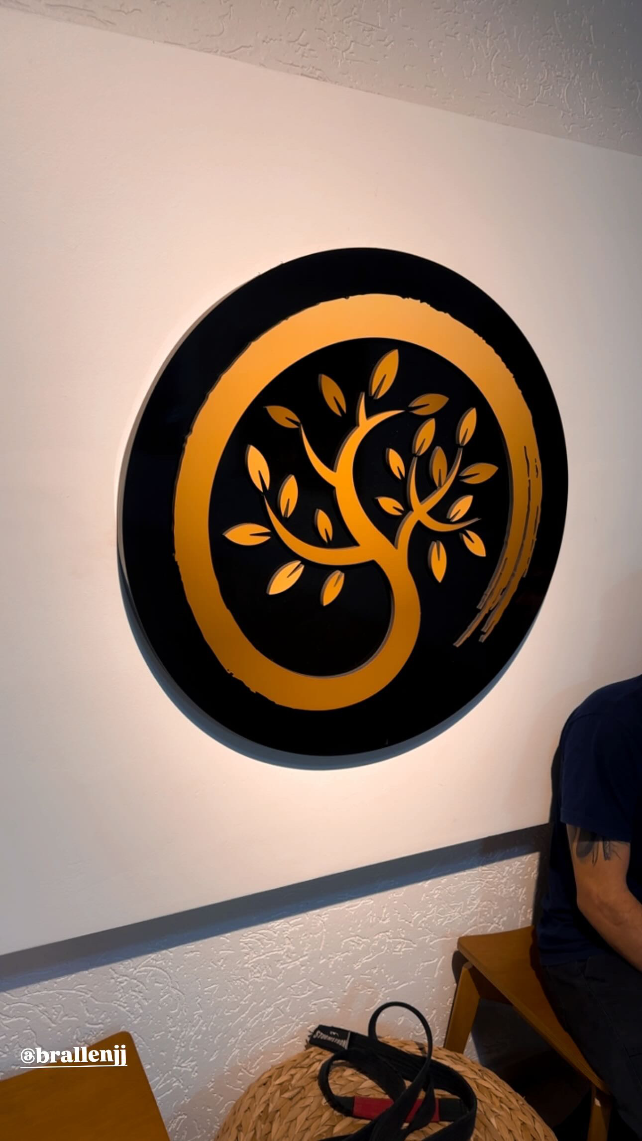 Brallen Jiu-Jitsu Londrina