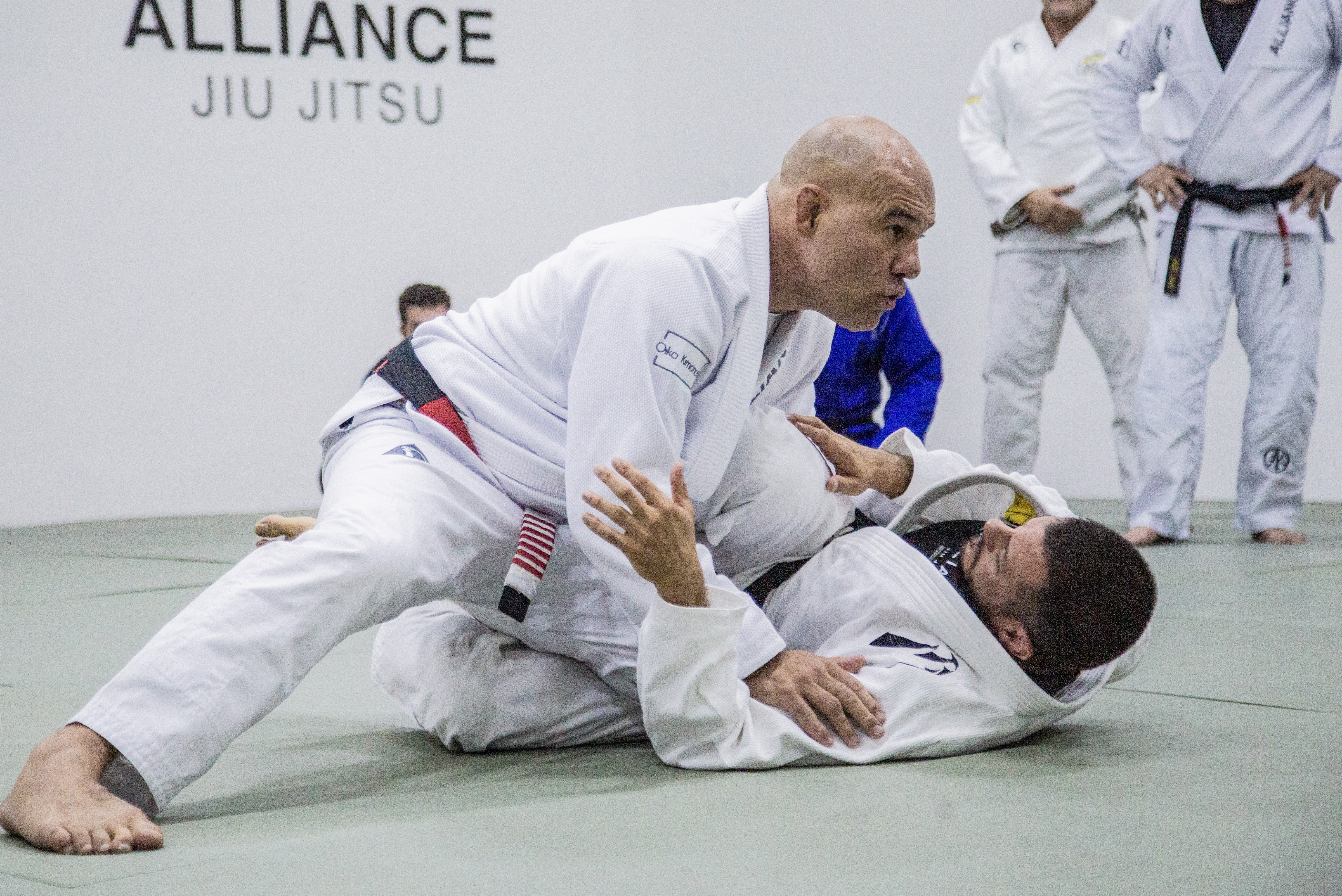 Culture Academy of Jiu-Jitsu - Alliance Goiânia