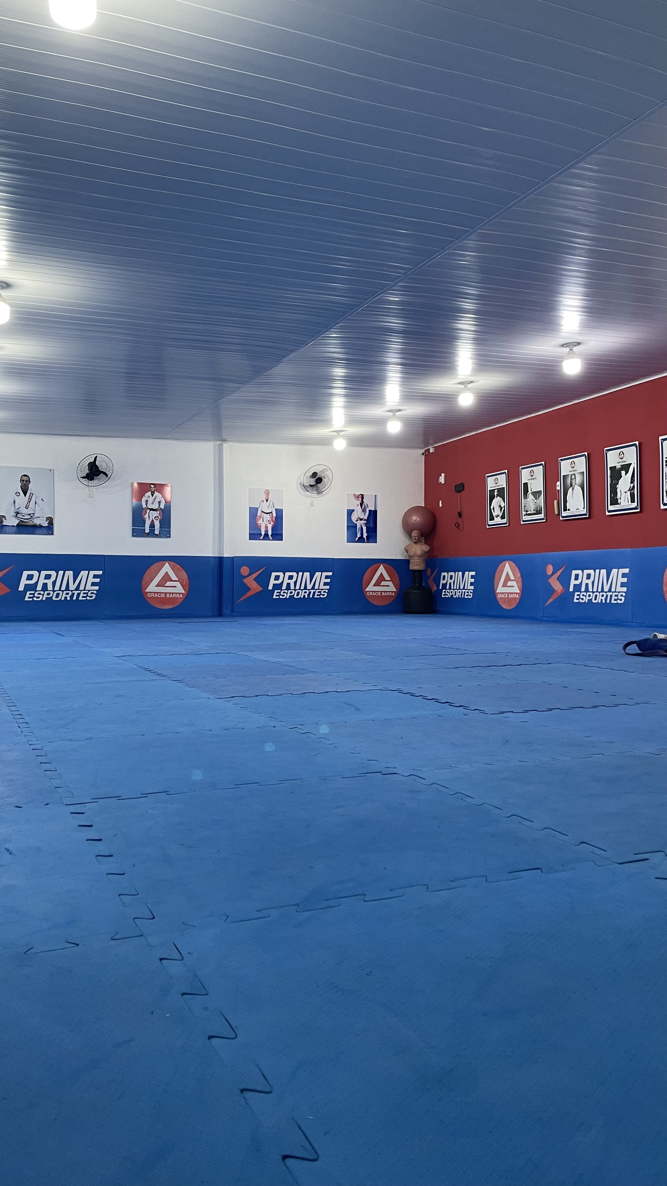 Gracie Barra Alagoas