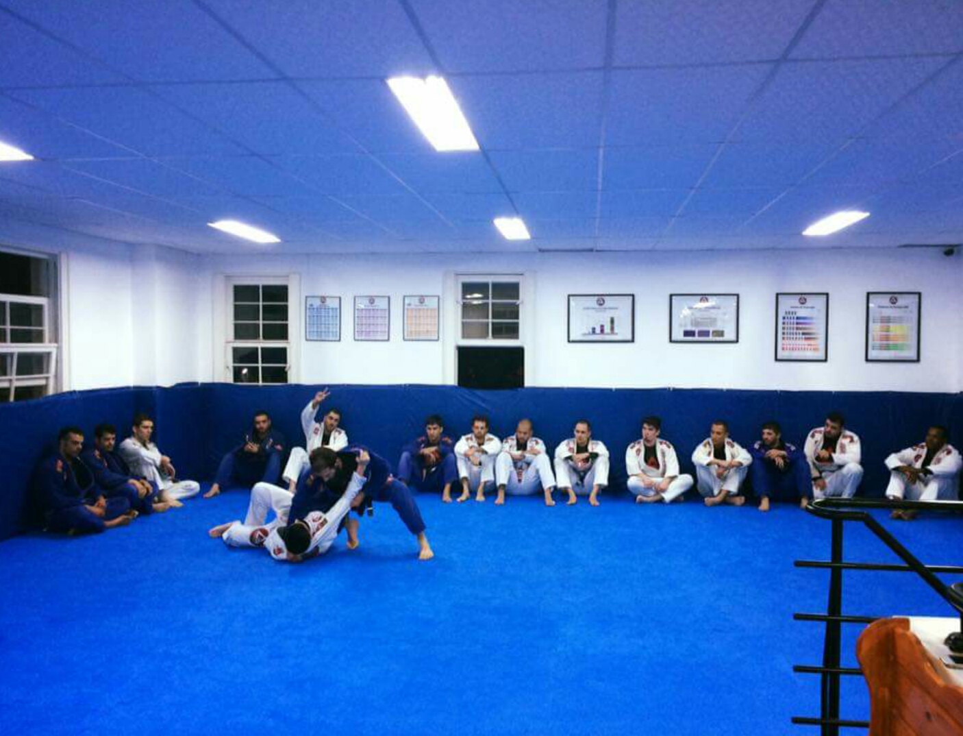 Gracie Barra - Porto Alegre