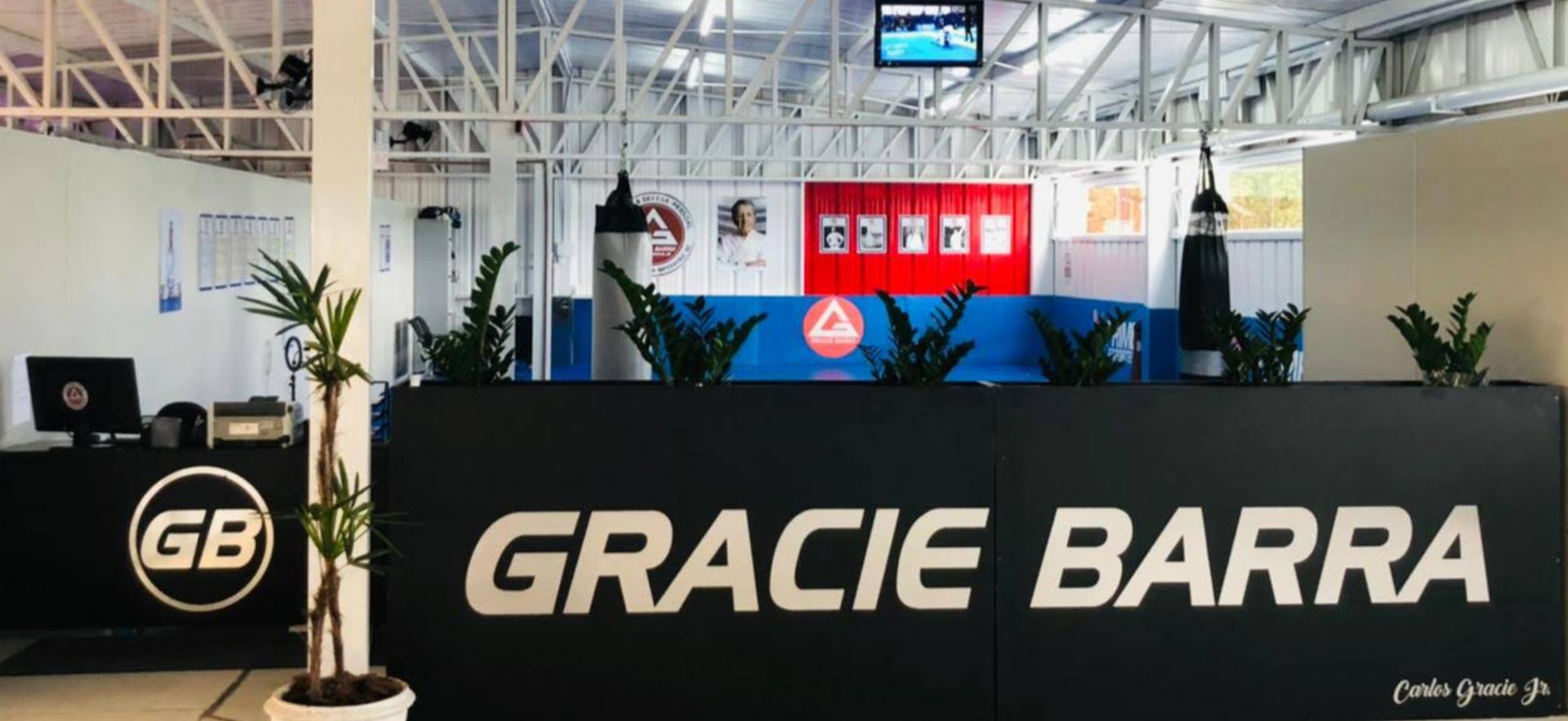 Gracie Barra - Santo Amaro da Imperatriz - Foto 1