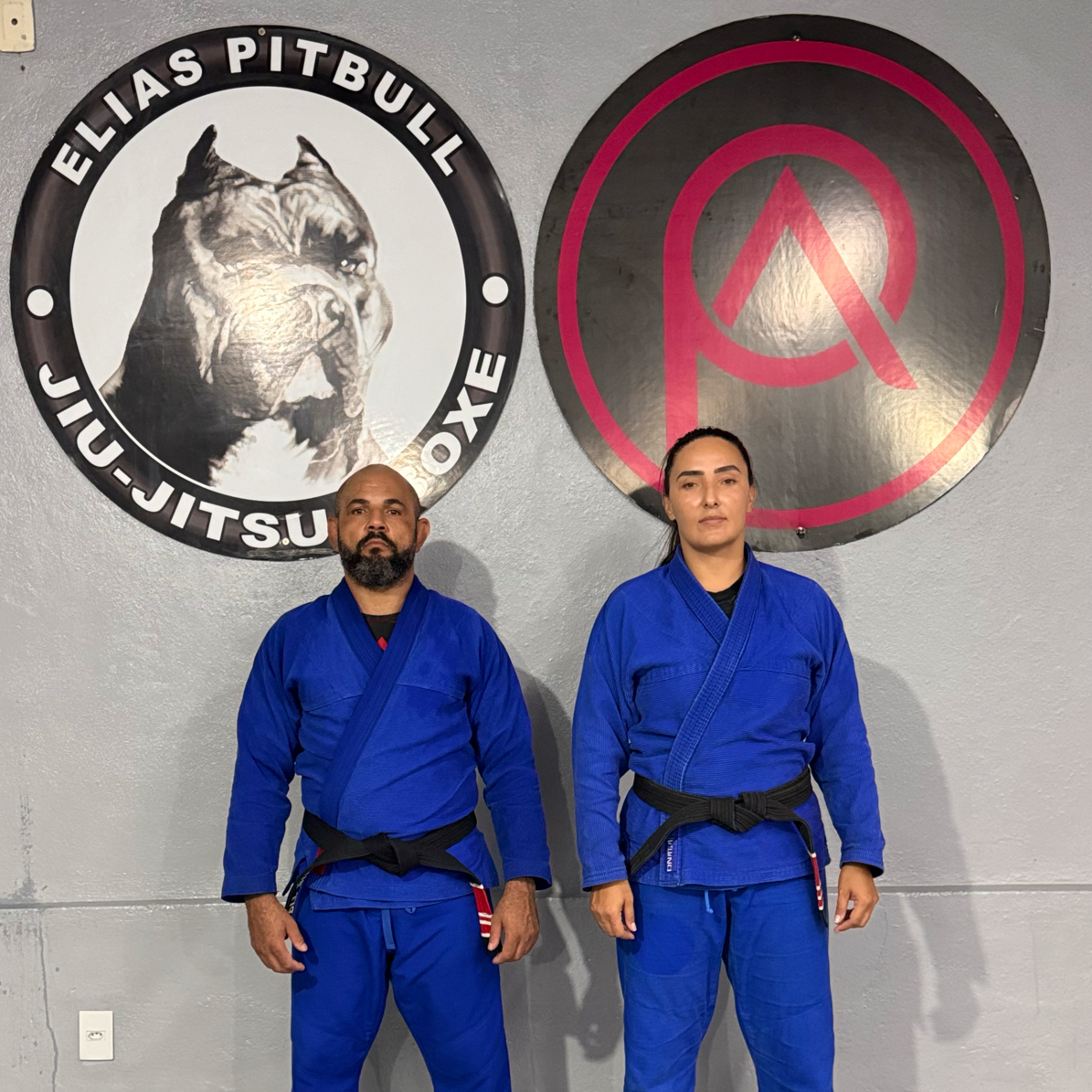 Pit Bull Team Matriz - ( Antiga ) Sapo Team Marilândia - Foto 1