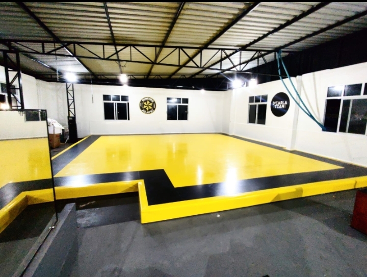 Ribeiro Jiu-Jitsu Alvorada - Foto 1