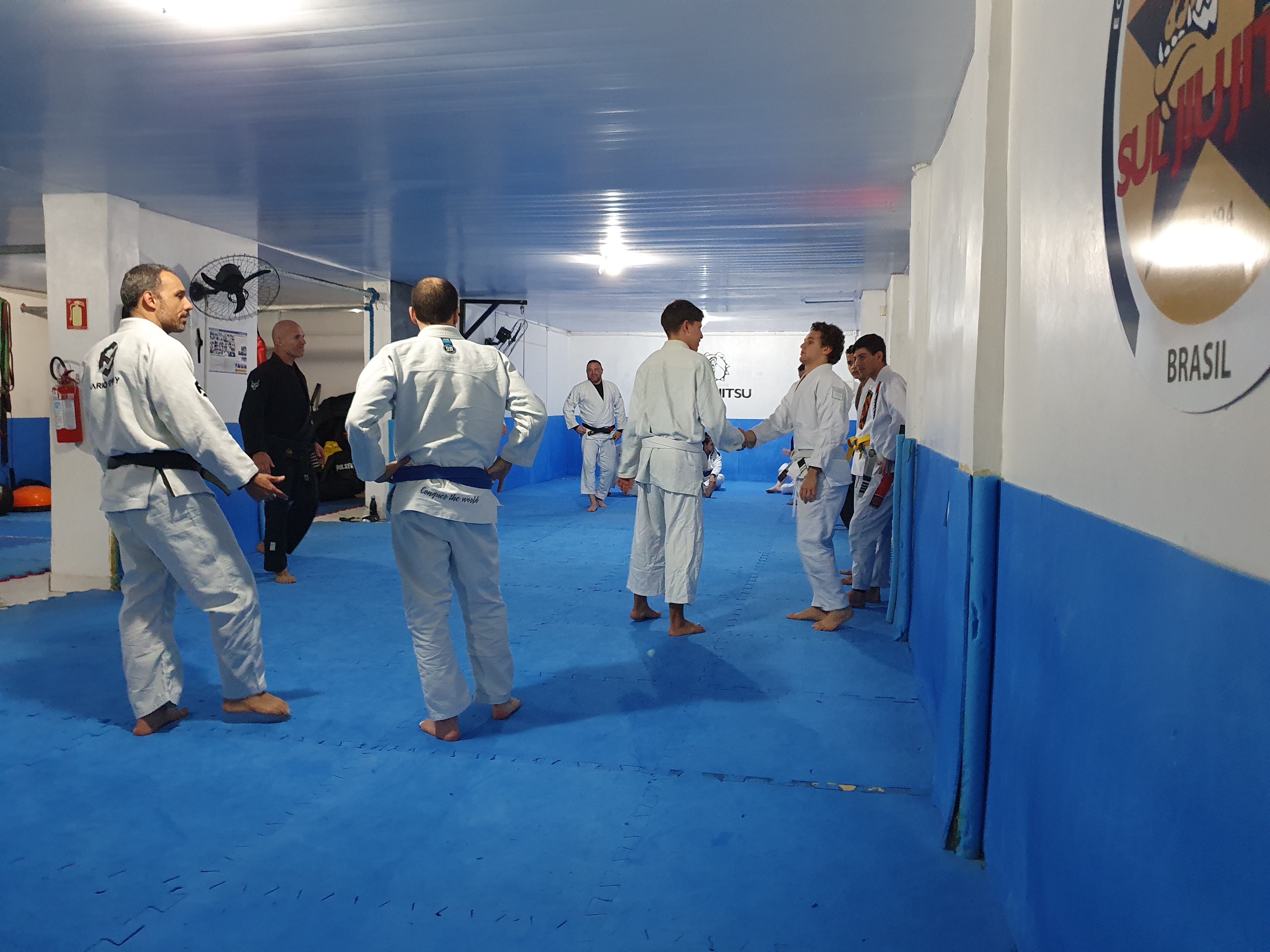 Sul Jiu-Jitsu - Foto 1