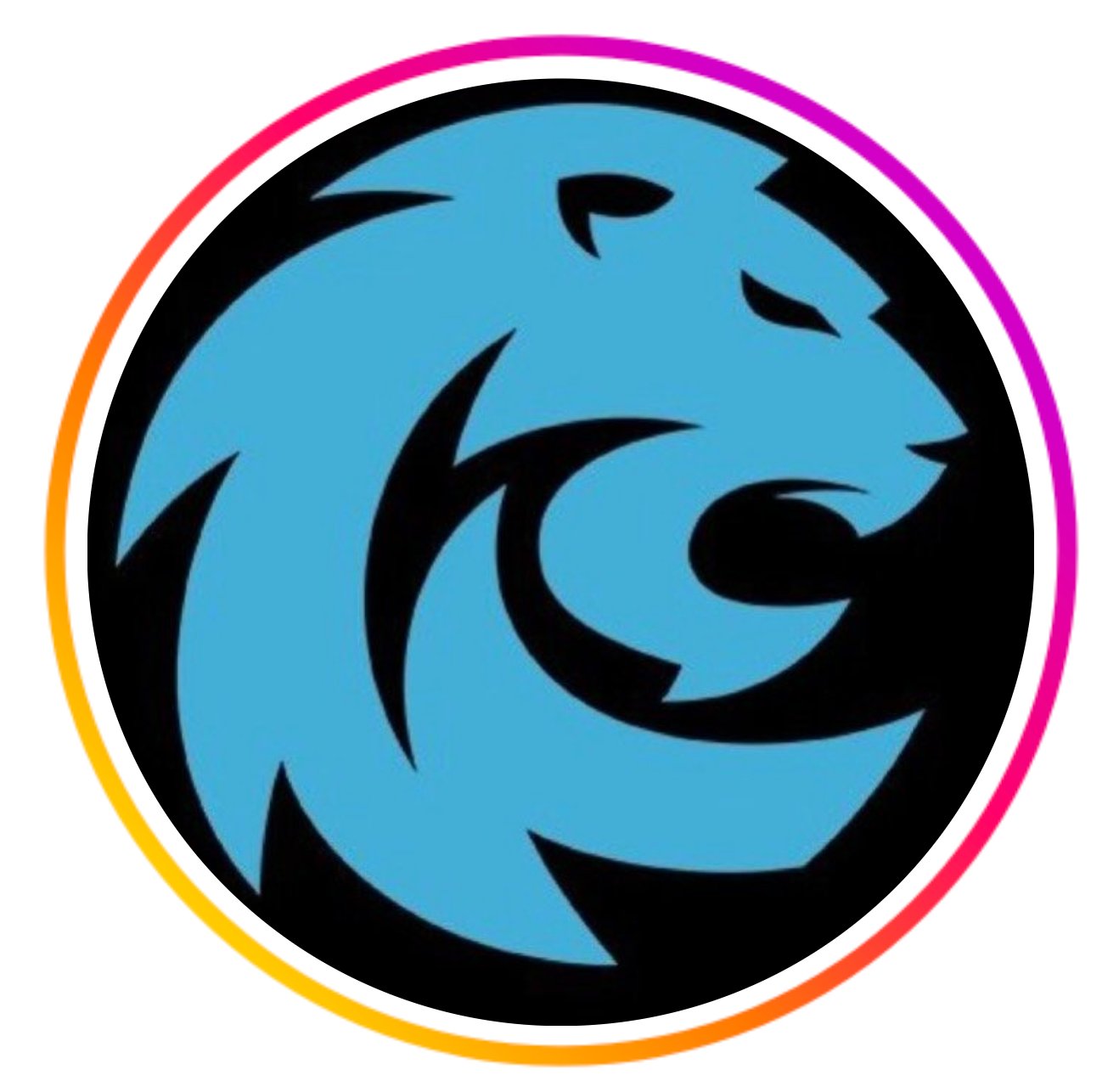 Ceconi BJJ - Lages logo