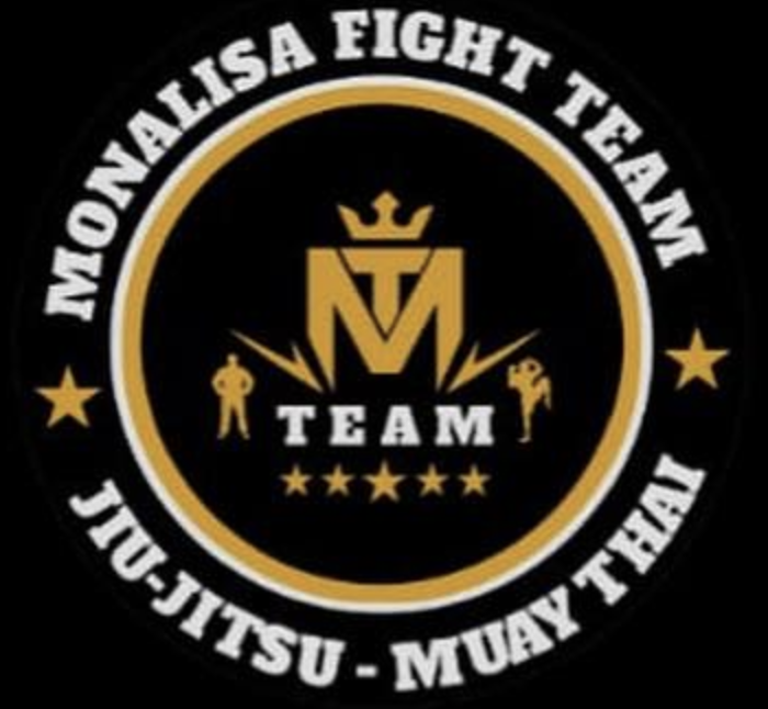 CT Team Monalisa logo