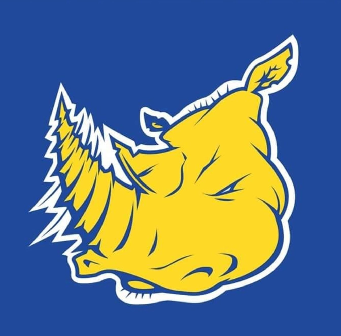 Drill BJJ Garopaba logo