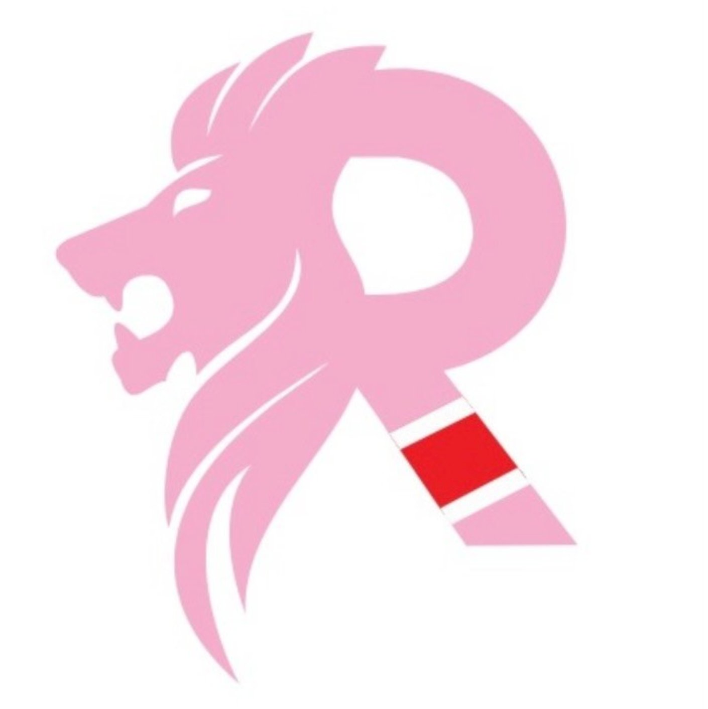 Rey BJJ College logo