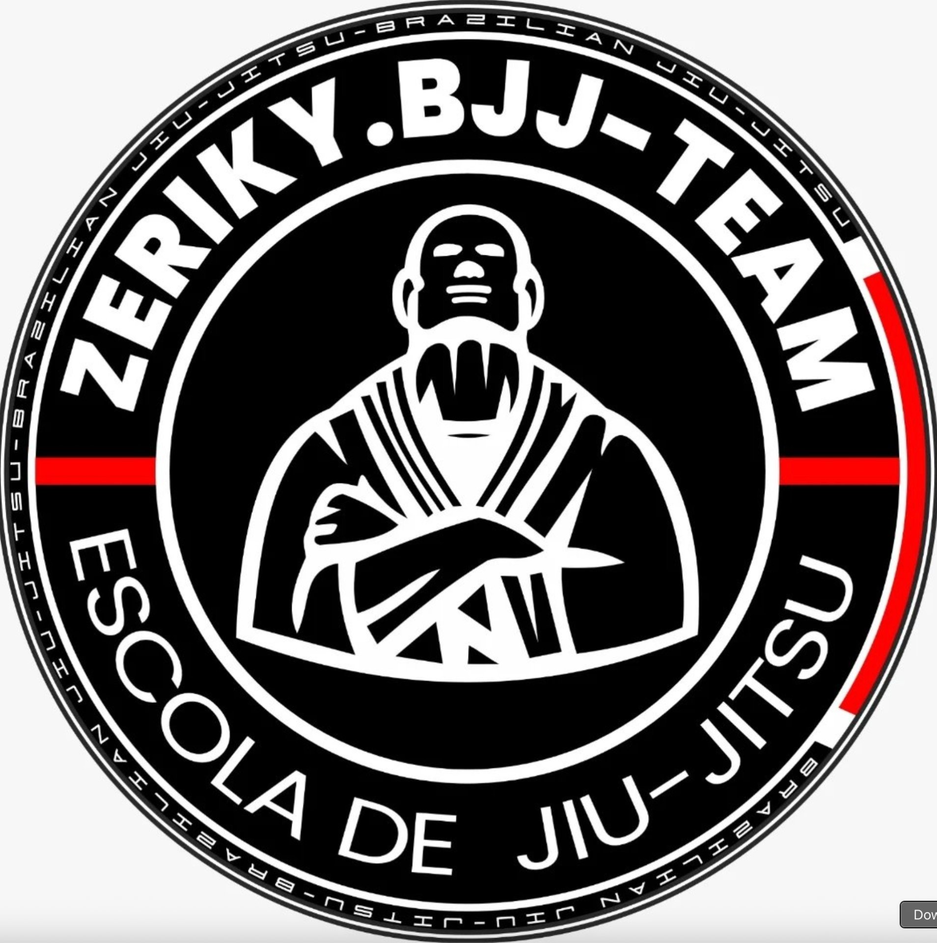 ZERIKY BJJ logo